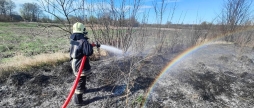 На Вінниччині за добу сталося 18 пожеж через паління сухої трави