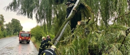 На Вінниччині через негоду рятувальники 11 разів виїжджали на розкряжування дерев