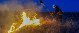 На Вінниччині через загоряння трави вогонь перекинувся на дах господарської споруди