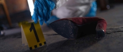 На Вінниччині чоловік забив рідну сестру сокирою та молотком