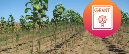 На Вінниччині фермер отримав грант, але сад заклав за власні кошти