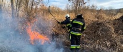 На Вінниччині горіли екосистеми в усіх районах області на площі понад 25 гектарів