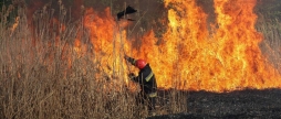 На Вінниччині горіли суха трава, очерет і чагарники
