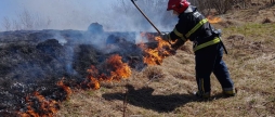 На Вінниччині ліквідували 26 пожеж в природних екосистемах