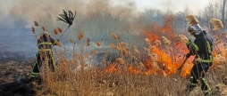 На Вінниччині лише протягом однієї доби зафіксували 68 пожеж в екосистемах