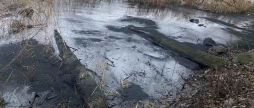На Вінниччині маслянисті плями забруднили водосховище