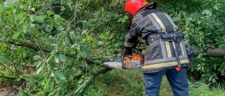 На Вінниччині негода валила дерева на дороги, авто та гаражі