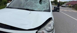 На Вінниччині під колеса авто потрапила 61-річна жінка