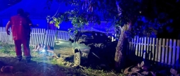 На Вінниччині після зіткнення автомобіля з деревом загинули водій та пасажир Volkswagen