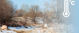 На Вінниччині погода повернула на весну, 24 лютого вдень 2-4° тепла