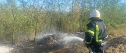 На Вінниччині полум’я охопило територію на площі двох гектарів