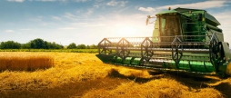 На Вінниччині розпочали збирання зернових культур