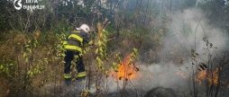 На Вінниччині рятувальники ліквідували 15 пожеж в екосистемах