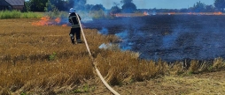 На Вінниччині рятувальники ліквідували шість пожеж на відкритих територіях 