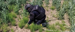 На Вінниччині сапери знищили 105-міліметровий снаряд часів Другої світової
