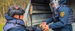 На Вінниччині сапери знищили мінометну міну та артилерійський снаряд