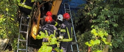На Вінниччині водій вантажівки з’їхав у кювет та протаранив дерево
