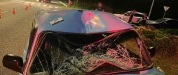 На Вінниччині водій збив на смерть 69-річну велосипедистку