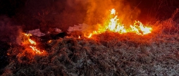 На Вінниччині вогонь обпалив понад два гектари землі