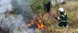 На Вінниччині вигоріло майже 2,5 гектари землі