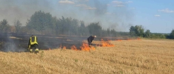 На Вінниччині вигоріли десятки гектарів сільськогосподарських угідь