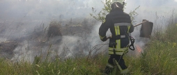 На Вінниччині за добу сталося дев'ять пожеж в екосистемах