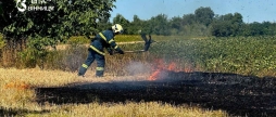 На Вінниччині за добу вигоріло близько 4 гектарів сухої трави