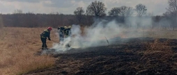 На Вінниччині за добу вигоріли одинадцять гектарів землі