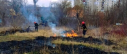 На Вінниччині загинула 88-річна жінка запалила стерню і не впоралась з полум'ям