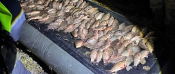 На Вінниччині затримали браконьєрів, які наловили риби на майже 700 тисяч гривень