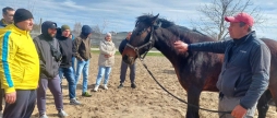 На Вінниччині завершився курс психосоціальної підтримки ветеранів через взаємодію з кіньми