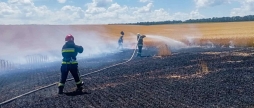 На Вінниччині згоріло два гектари пшеничного поля
