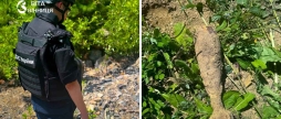 На Вінниччині жителі знайшли міну часів Другої світової — її знищили піротехніки
