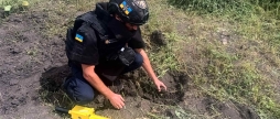 На Вінниччині знайшли та знищили гранату часів Другої світової