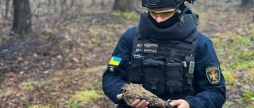 На Вінниччині знищили мінометну міну часів Другої світової війни