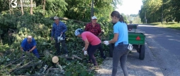 На Вінниччині зрізали аварійні дерева, а дрова віддадуть на опалення школи