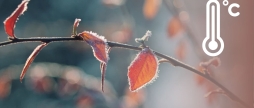 Наближається серйозне похолодання що радять вінничанам синоптики у найближчі дні