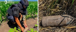  Небезпечна знахідка у Вінницькій області знищили бойовий снаряд