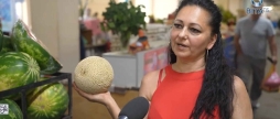 Незвичні сорти дині чим дивує вінницький ринок цього літа