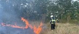 Обпалено понад 14 гектарів землі на Вінничині надзвичайники ліквідували 13 загорянь