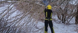 Ожеледь валить дерева на автошляхи Вінниччини - на виклики виїжджали рятувальники