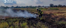 П'ять загорянь за добу в чотирьох районах рятувальники Вінниччини знову гасили відкриті території