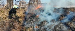 Перша жертва пожежі в екосистемі на Вінниччині – вогонь забрав життя 85-річної жінки