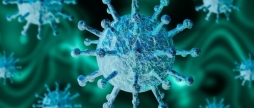 За добу 76 вінничан захворіли на COVID-19, троє людей померли