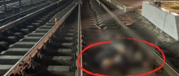 Під колесами електропоїзда на вокзалі у Вінниці загинули двоє чоловіків