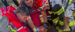 Під Вінницею вантажівка протаранила дерево, водія затиснуло в кабіні