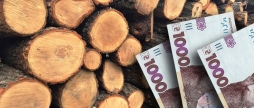 Підприємець "заробив" 230 тис. грн на дровах для освітніх закладів Барської громади