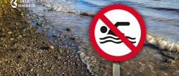Пляжі Вінниці офіційно визнали небезпечними для купання 