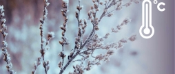 Погода на 7 грудня синоптики попередили вінничан про похолодання