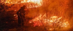 Понад 180 гектарів попелу рятувальники Вінниччини б’ють на сполох через масові пожежі в області